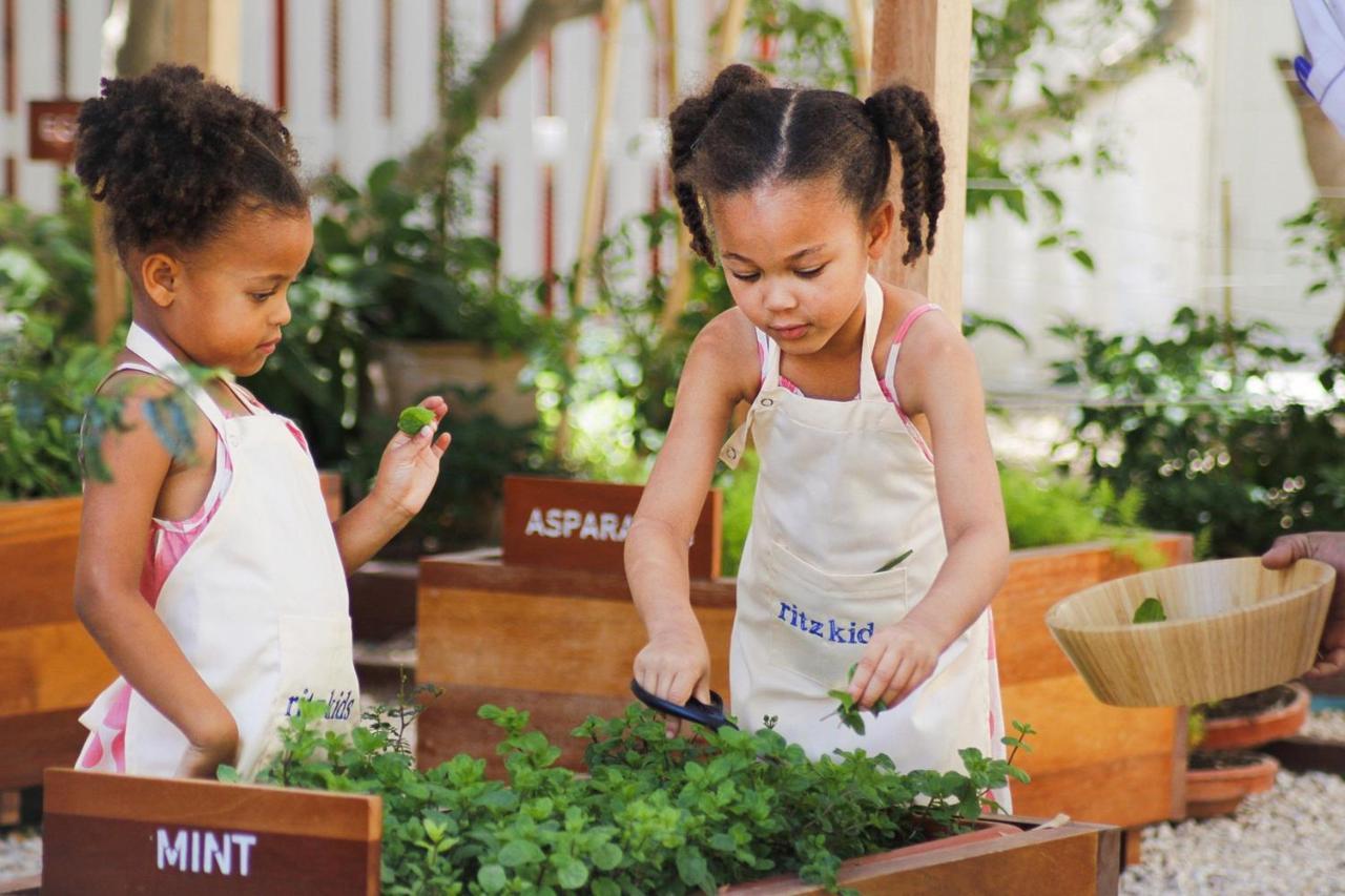 The Ritz-Carlton, Doha Hotel Ngoại thất bức ảnh Children working in a garden