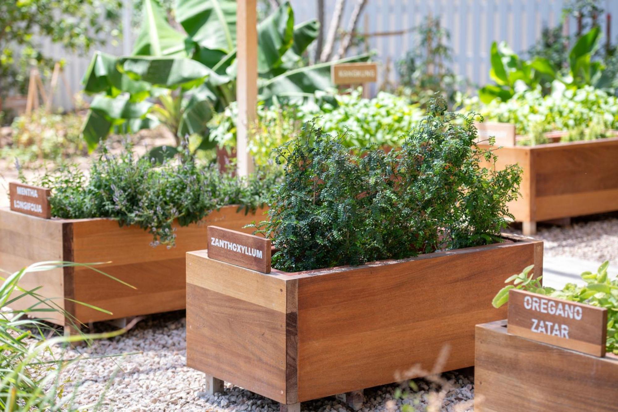 The Ritz-Carlton, Doha Hotel Ngoại thất bức ảnh Raised beds in a garden