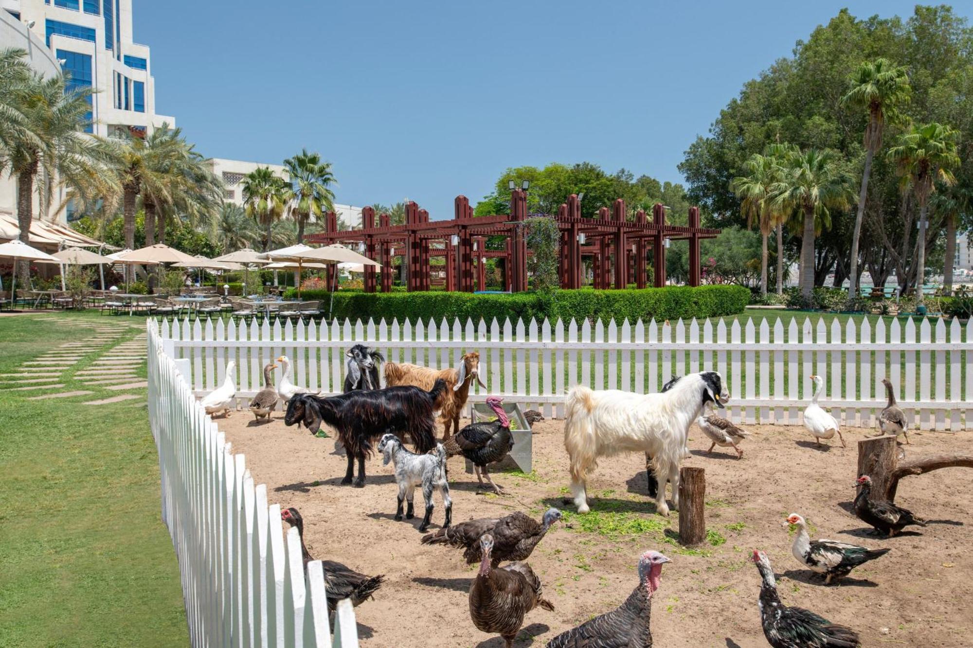 The Ritz-Carlton, Doha Hotel Ngoại thất bức ảnh The farm at the resort
